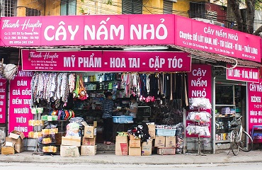 Cây nấm nhỏ Thanh Huyền Cây nấm nhỏ Thanh Huyền